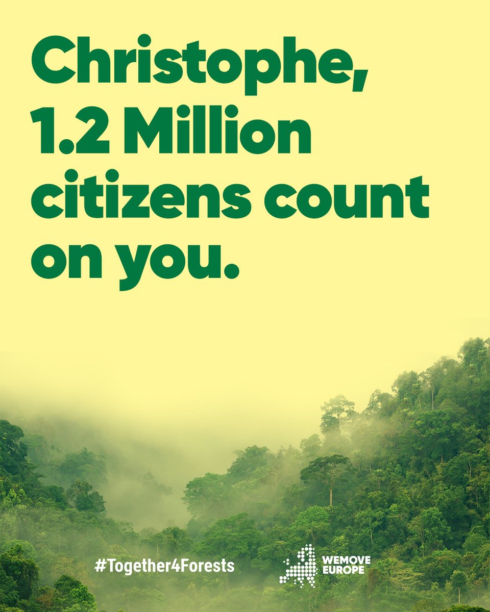 #Lula winning the 🇧🇷election is a relief for forests, climate, wildlife and indigenous communities. To truly protect the Amazon, <a href="/CHansenEU/">Christophe Hansen</a> should make sure EU leaders support the <a href="/Europarl_EN/">European Parliament</a> position on the 🇪🇺 deforestation law #Together4Forests