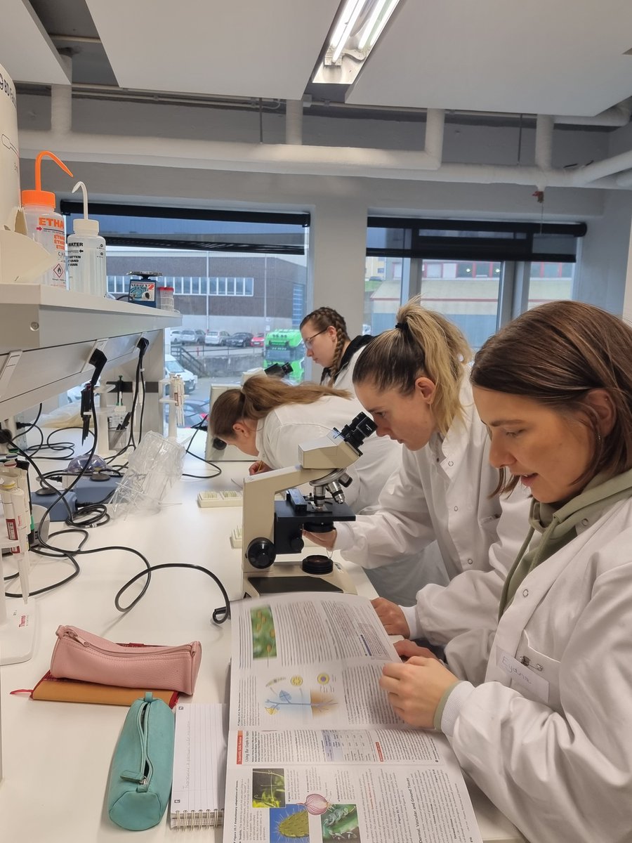 KolbruniH's tweet photo. Every 2nd year I teach part of the course Flora &amp; Fauna in the Faroe Islands ( Guess which part😏) for 1st year BSc students at the University of the Faroe Islands. Teaching lifts my spirit in these dark land-degradation times! https://t.co/PaVMkBI57A