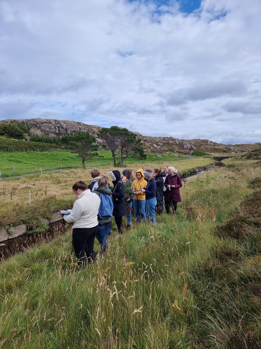 KolbruniH's tweet photo. Every 2nd year I teach part of the course Flora &amp; Fauna in the Faroe Islands ( Guess which part😏) for 1st year BSc students at the University of the Faroe Islands. Teaching lifts my spirit in these dark land-degradation times! https://t.co/PaVMkBI57A