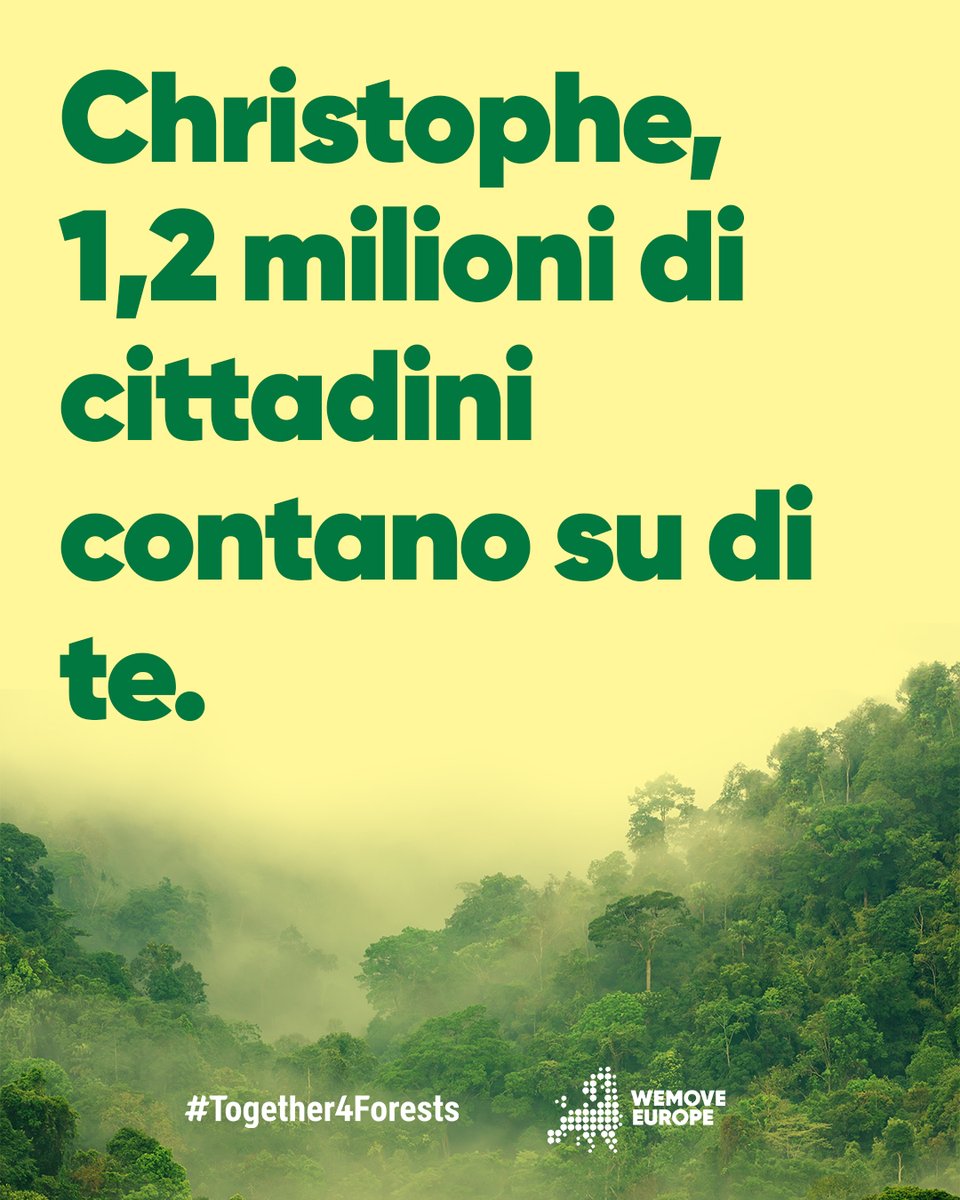 .<a href="/CHansenEU/">Christophe Hansen</a>: hai espresso il tuo impegno per lavorare al nostro fianco. ✊🌲Sostieni una legge ambiziosa contro la deforestazione, che vieti un lungo elenco di merci e prodotti responsabili della distruzione delle nostre foreste #Together4Forests