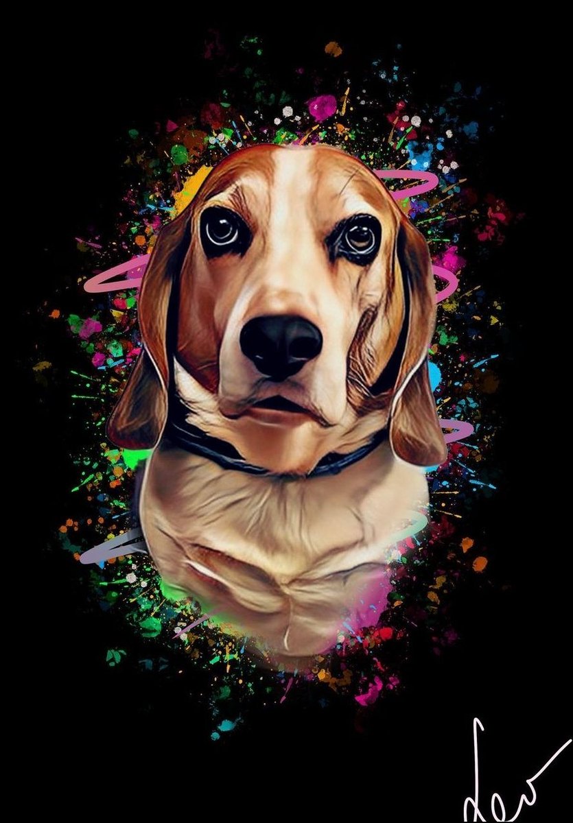 ColorfulPawz's tweet photo. Leo❤️ #beagle #dogs #DogsofTwittter #DogsOnTwitter #dogs_Lovers #dogstyle #dogsinspace #dogsarelove #DogLover #cute #cuteanimals #PetsDaDart #pets https://t.co/vaAip2Cg8A
