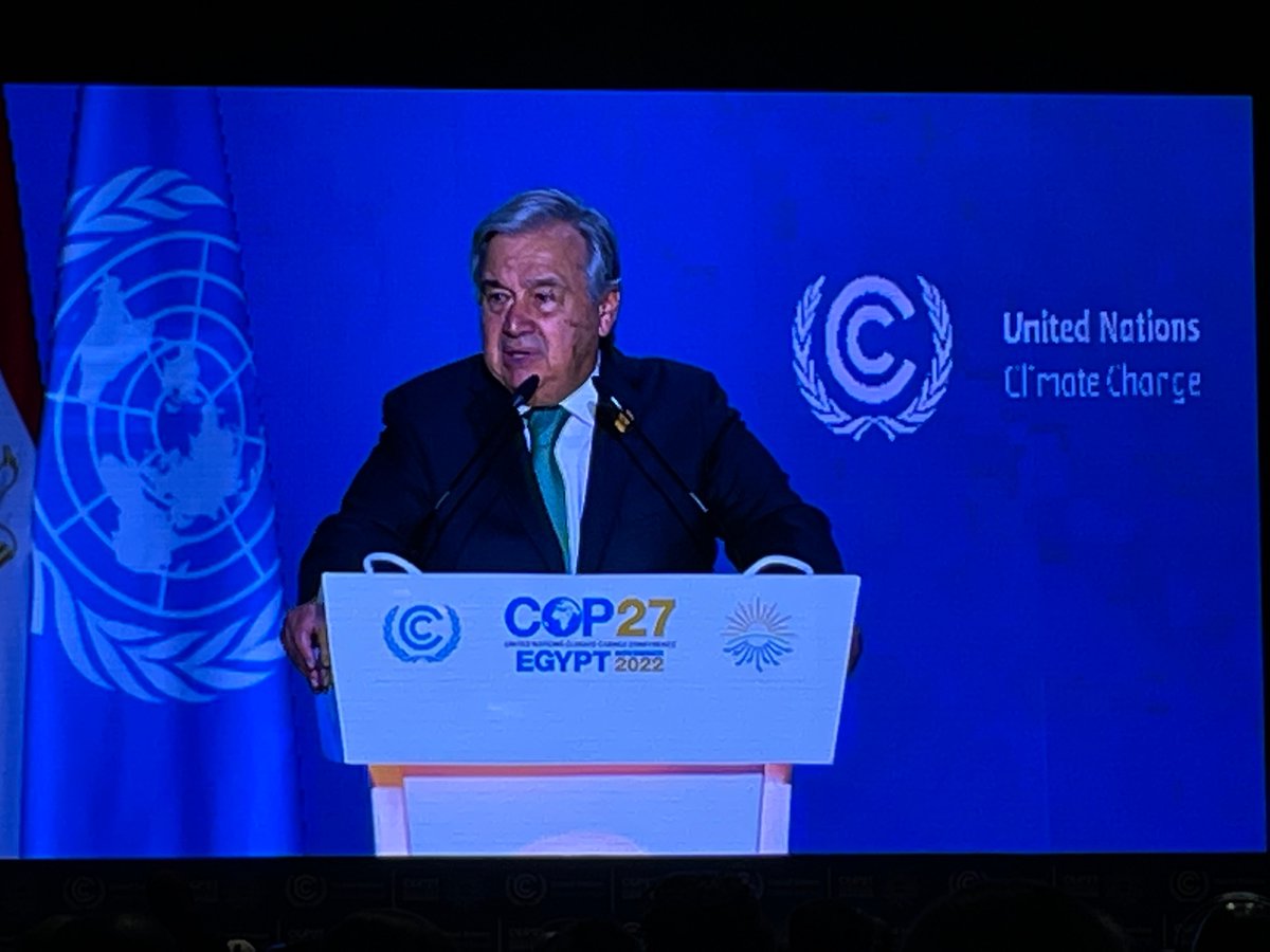 SMarinescu_UN's tweet photo. We need a strong pact for nature or we will face a collective suicide. A clean, healthy environment is a fundamental human right. People call for climate justice. Loss &amp; damage must be addressed. Adaptation costs will reach US$ 300bill per annum by 2030. #COP27 @antonioguterres https://t.co/10xU6MTlv4