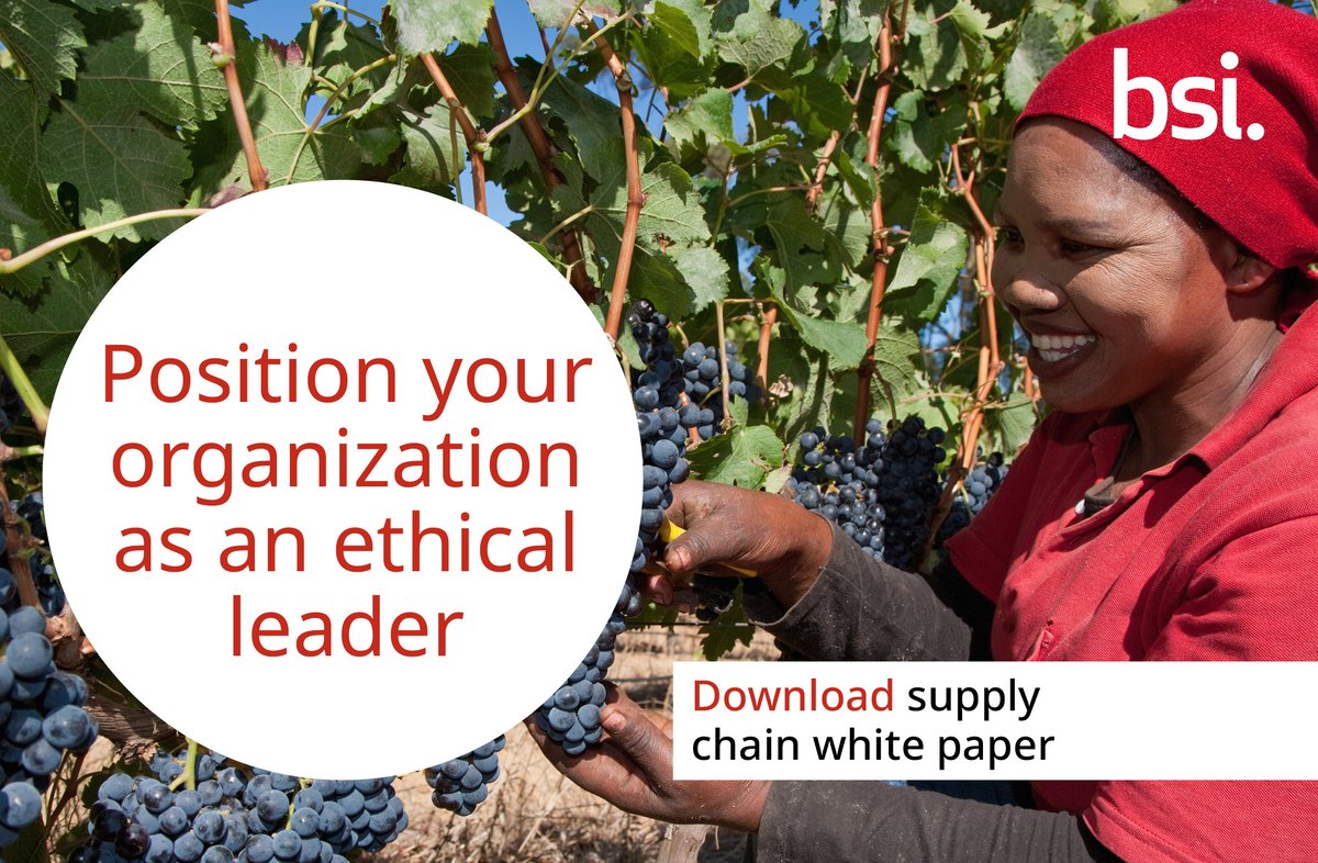 BSI_UK's tweet photo. Is your organization tackling sustainability issues in its supply chain?

Take our #CEO Stress Test to find out 📝

Learn more about sustainable supply chains in our white paper ⬇️

https://t.co/0dFNKL90Cw

#PrioritizingPeople https://t.co/0vre0Ga60m
