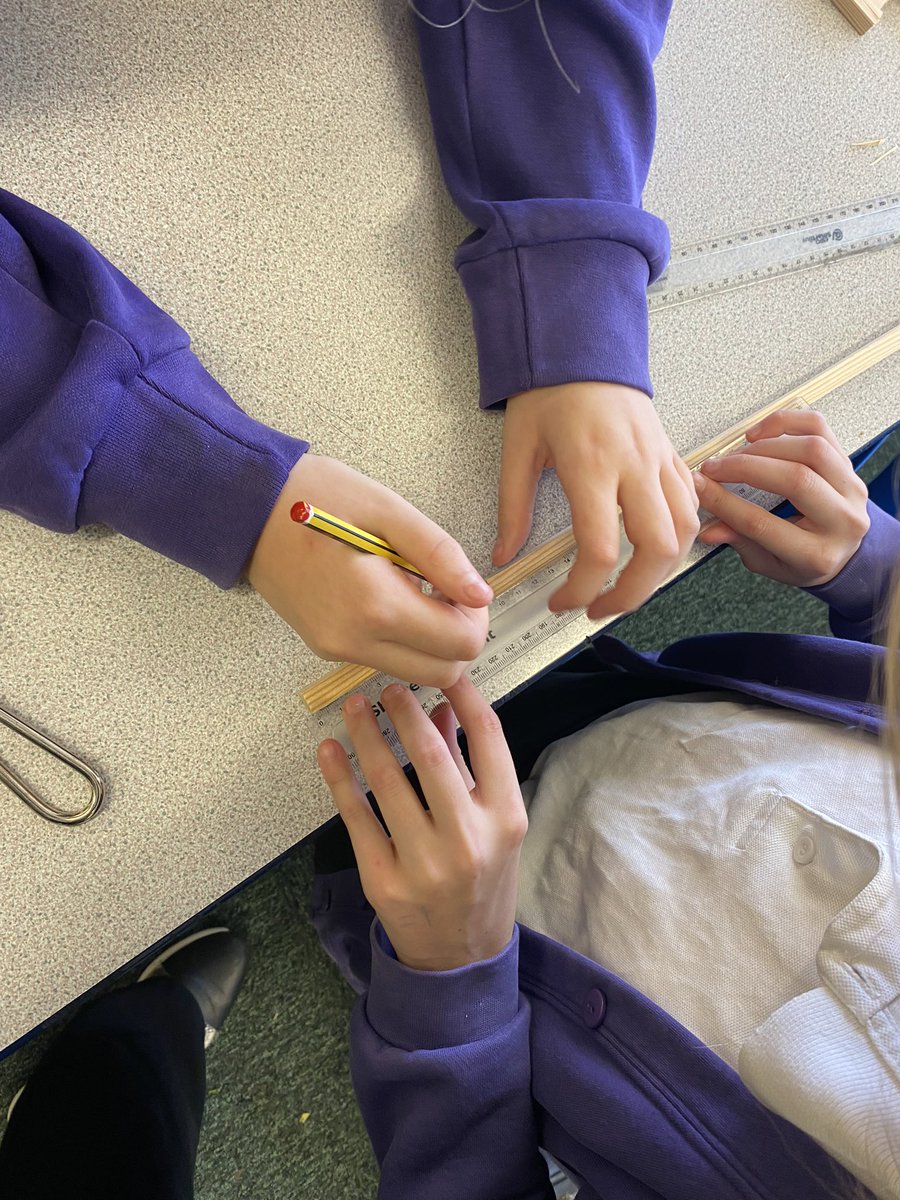 Y6LaceyField tweet media