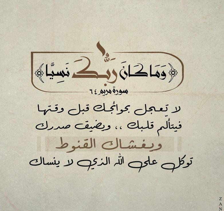 ساره لطف محمد tweet media