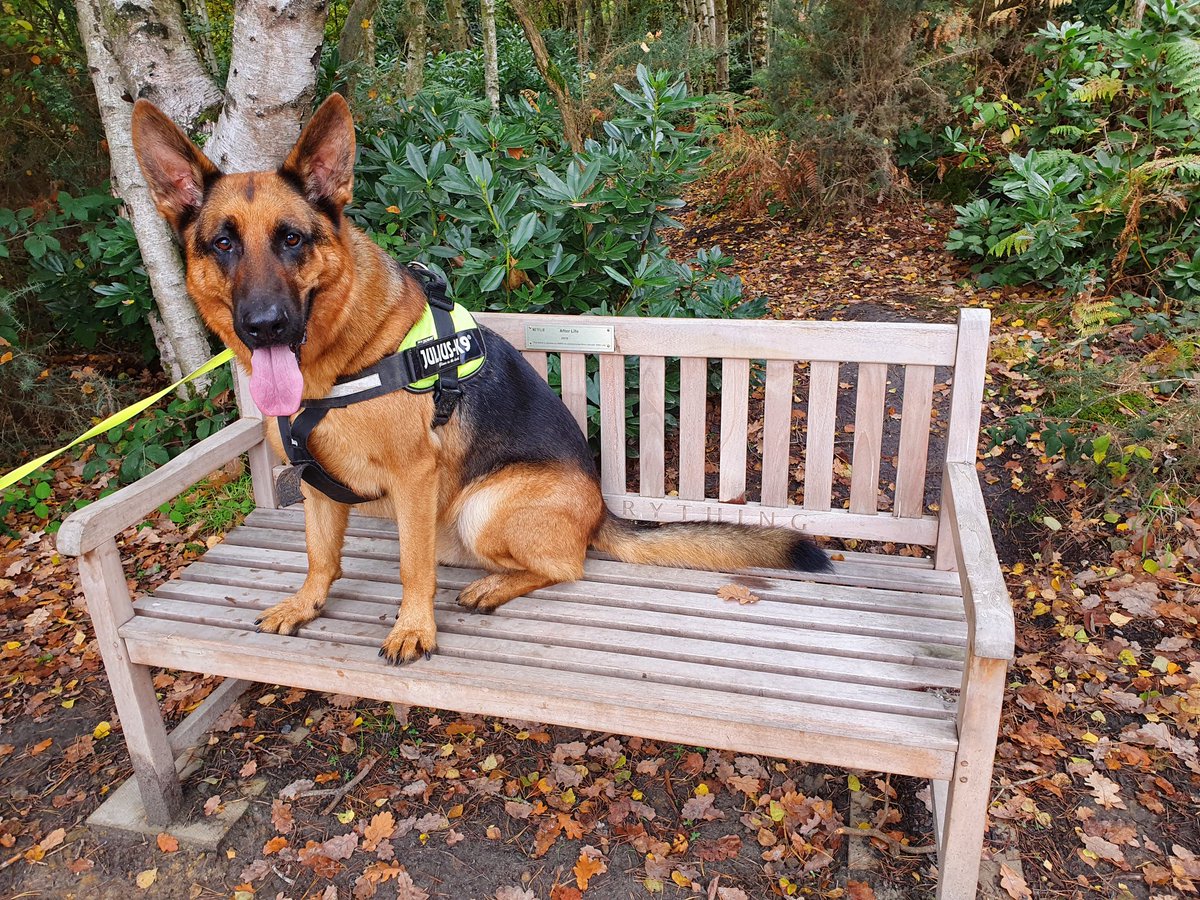 Deb Risius tweet media