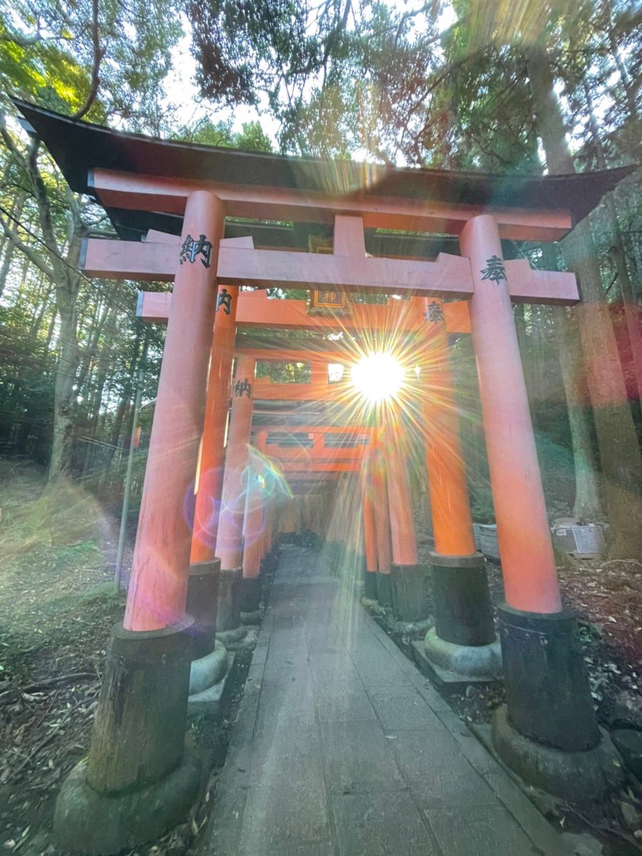 kaiunmagnet's tweet photo. 本日天赦日ですね😊

この日に始めたことはすべて成功するといわれるぐらい暦の上で最高の吉日！

皆さんのスタートすることが良い方向へ向かいますように✨

#天赦日　#開運　#パワースポット　#神社仏閣　#伏見稲荷大社　#神宮 https://t.co/asovJWQjfc
