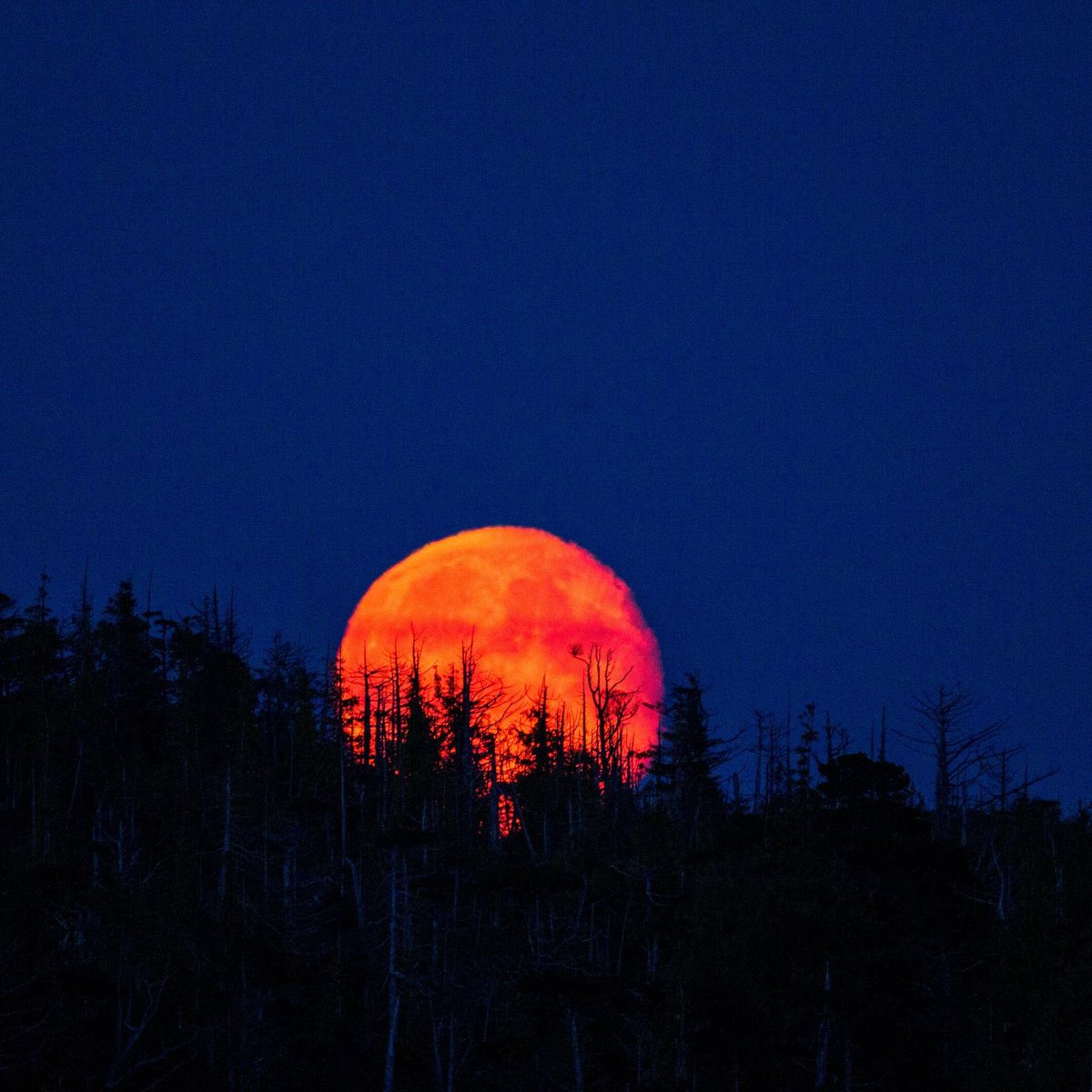 Mañana martes 8 de noviembre, la tierra, el sol y la luna se alinearán y crearán un eclipse de luna de sangre. Será el último eclipse total de Luna hasta 2025.