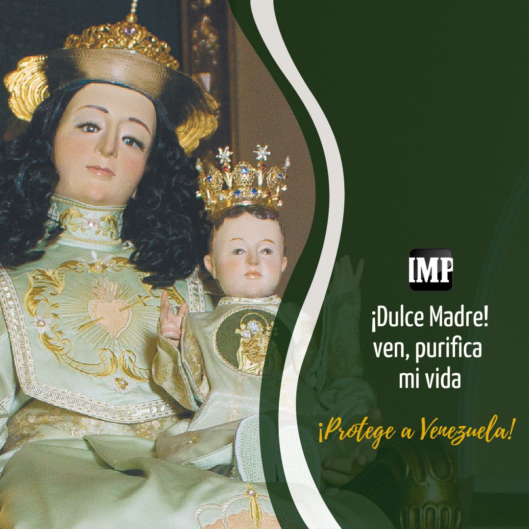 elimpulsocom's tweet photo. #DivinaPastoraIMP  "Madre santa, bendice cada día de mi vida “.

Divina Pastora, protege a #Venezuela 

Lea las noticias más destacadas en https://t.co/kpT34uPIwz

#DivinaPastora #DivinaPastora2022 #Fe #Noticias #Barquisimeto #Lara #Venezuela #Información #ElImpulso #7No https://t.co/akaaWmCGPv