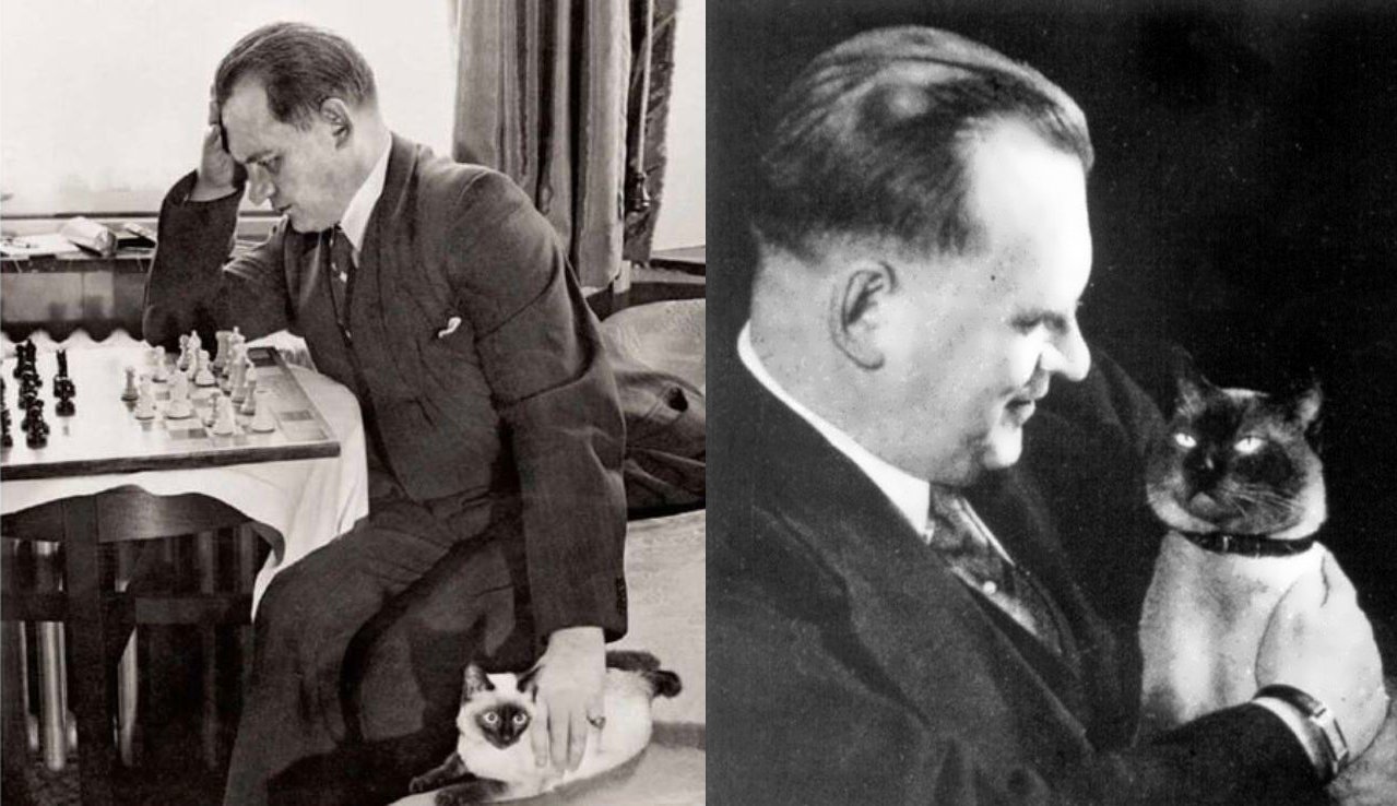 Champions Chess Tour on X: Did you know the former world champion Alekhine  had a cat named «Chess» that often went with him to tournaments? Alekhine's  love for his cat annoyed his