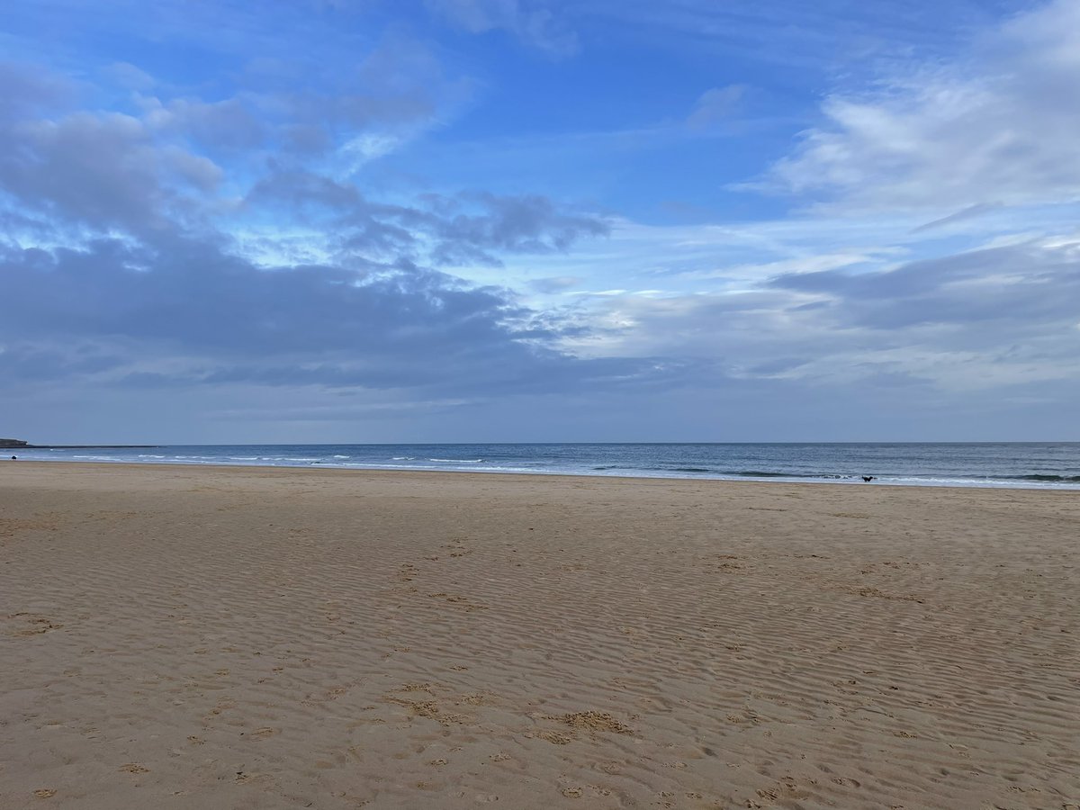 Victoria Bowers tweet media