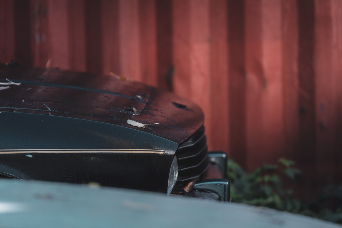 CropredyBridge's tweet photo. Warming up the morning by walking around the yard and seeing some of the details lurking about while the sun comes up. Patina and leaves; be a great name for a classic car workshop tea. 

#jensen #jensenspecialist #autumn #classiccars #heritageskills #classiccarworkshop https://t.co/aAHlPDOv4c
