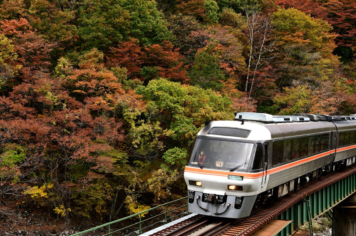 NatsukiNA11's tweet photo. キハ85×紅葉
2022/11/4,5  高山本線 https://t.co/f1pj7841zN