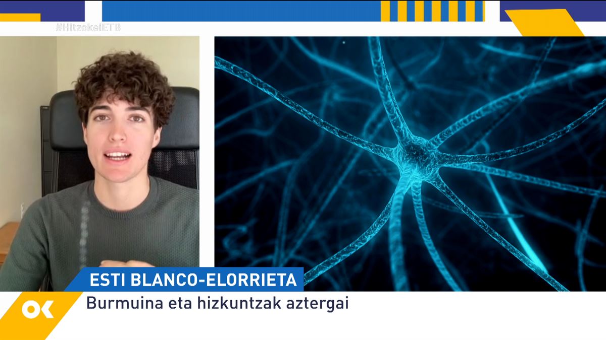 ETB (@euskaltelebista) on Twitter photo ▶ #BIDEOA | Egia al da elebidunek elebakarrek baino motelago ikasten dutela? Zenbat aurreiritzi daude?
#hitzokeiETB @hitzokei_eitb <a href="/BlancoElorrieta/">Esti B. Elorrieta</a> <a href="/uaristi/">Urko Aristi</a>
eitb.eus/eu/telebista/p… ▶ #BIDEOA | Egia al da elebidunek elebakarrek baino motelago ikasten dutela? Zenbat aurreiritzi daude?
#hitzokeiETB @hitzokei_eitb <a href="/BlancoElorrieta/">Esti B. Elorrieta</a> <a href="/uaristi/">Urko Aristi</a>
eitb.eus/eu/telebista/p…