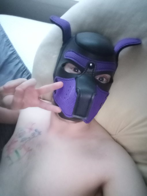 Good morning beautiful ❤️ hope you slept well https://t.co/OnLiCRLzBQ<a href="/tag/pup"class="tags"><span>#pup</span></a><a href="/tag/humanpup"class="tags"><span>#humanpup</span></a><a href="/tag/pupplay"class="tags"><span>#pupplay</span></a>