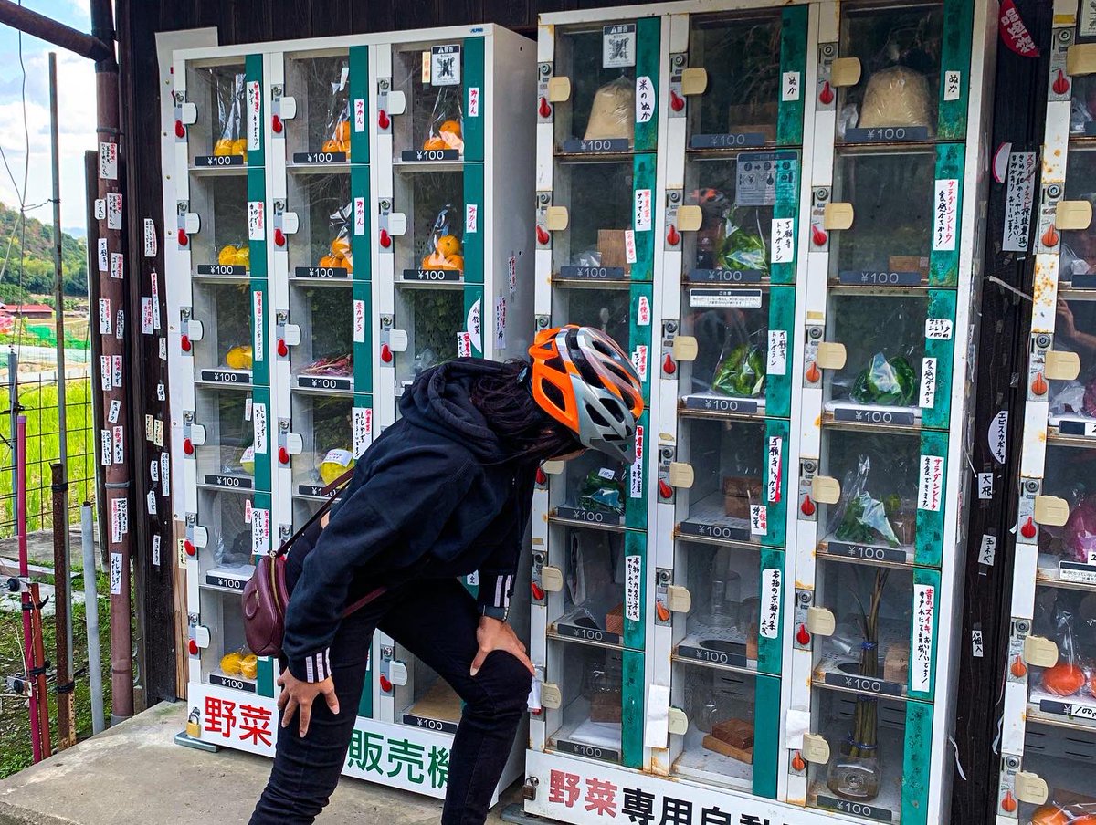 Tourism in #Japan is back in full swing. If you’re into active travel, joining a Noru Kyoto Bike Tour will be the highlight of your #Kyoto trip!

#kyototour #kyototrip #visitkyoto #japantrip #japantravel #traveljapan #japantour #lifeinjapan #visitjapan #explorekyoto