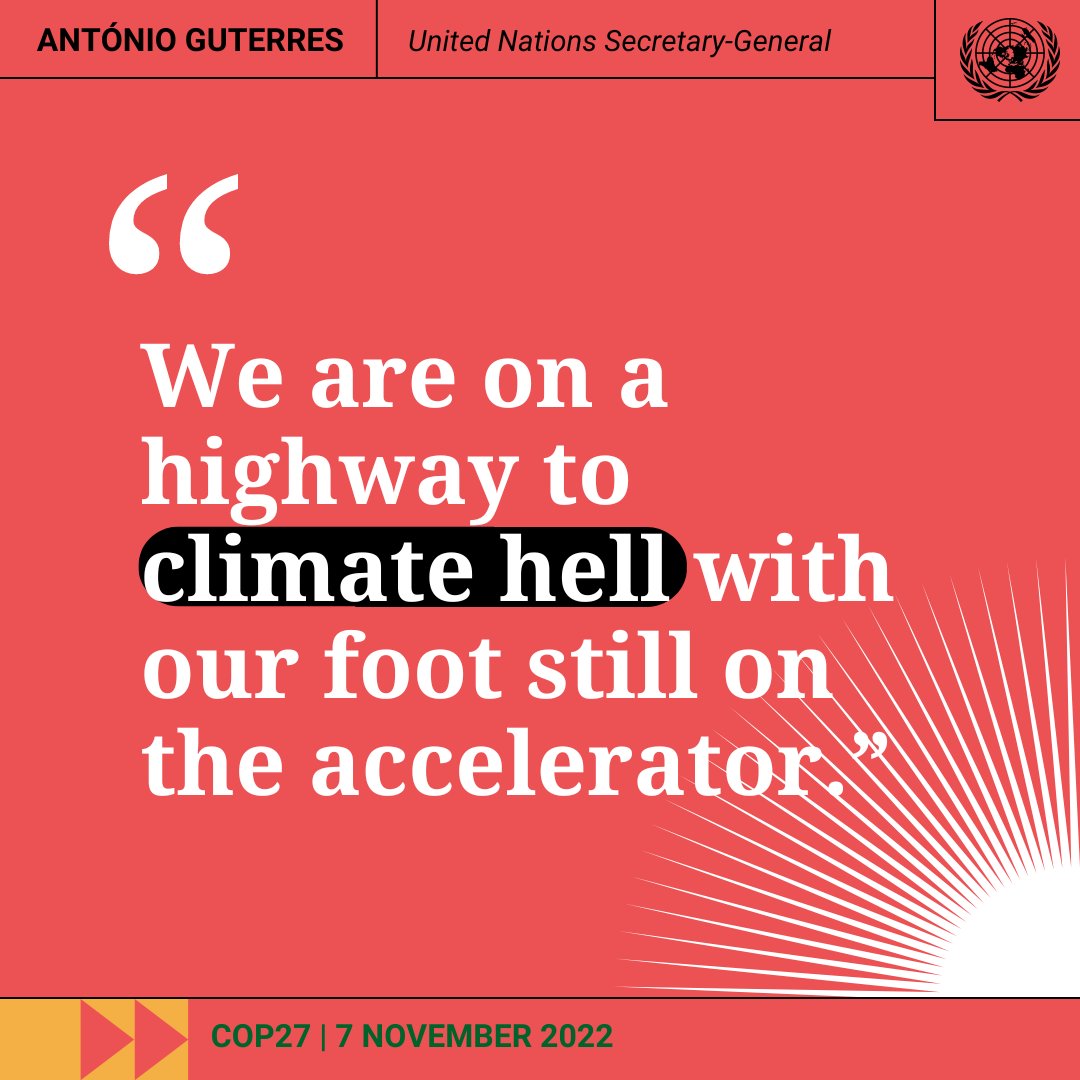 United Nations tweet media