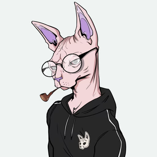 happy73B's tweet photo. @GodmaidenN @TheSphynxUS @NakedDAO https://t.co/CWH7evqPlx