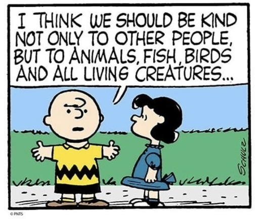 Vegan Future (@veganfuture) on Twitter photo 