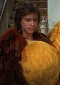 Linda_57's tweet photo. #DavidCassidy❤️#KeithPartridge
#NationalKeithDay https://t.co/0DFNwGxlmK