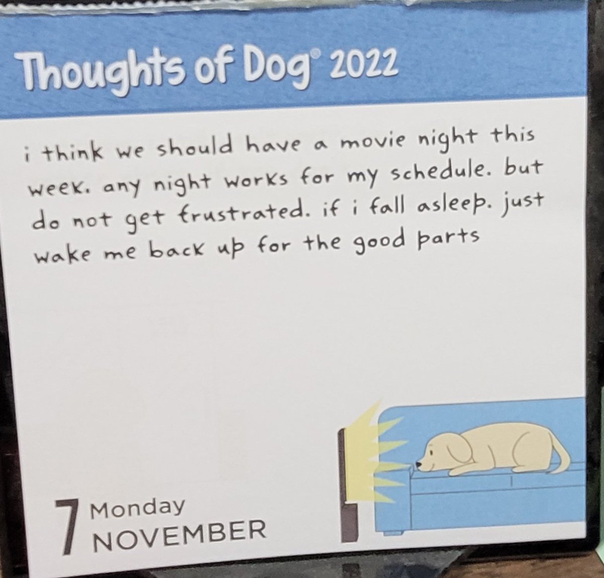 Taiapye's tweet photo. #thoughtsofadog 
#beaglesoftwitter #beaglefacts #zshq https://t.co/wZYCcShd9f