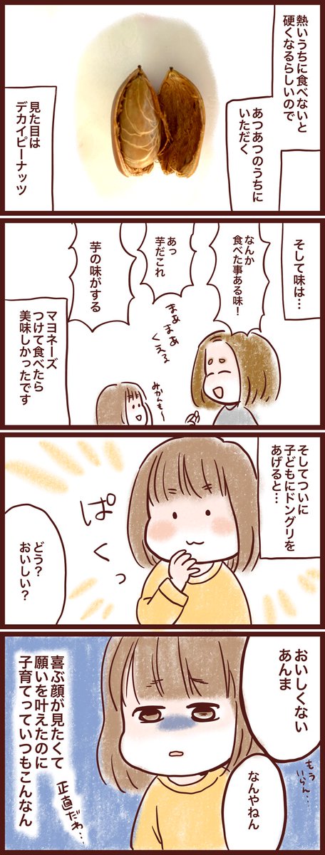 ドングリ食べてみた日の事!
#育児絵日記
#漫画が読めるハッシュタグ 
#みかりん日記 