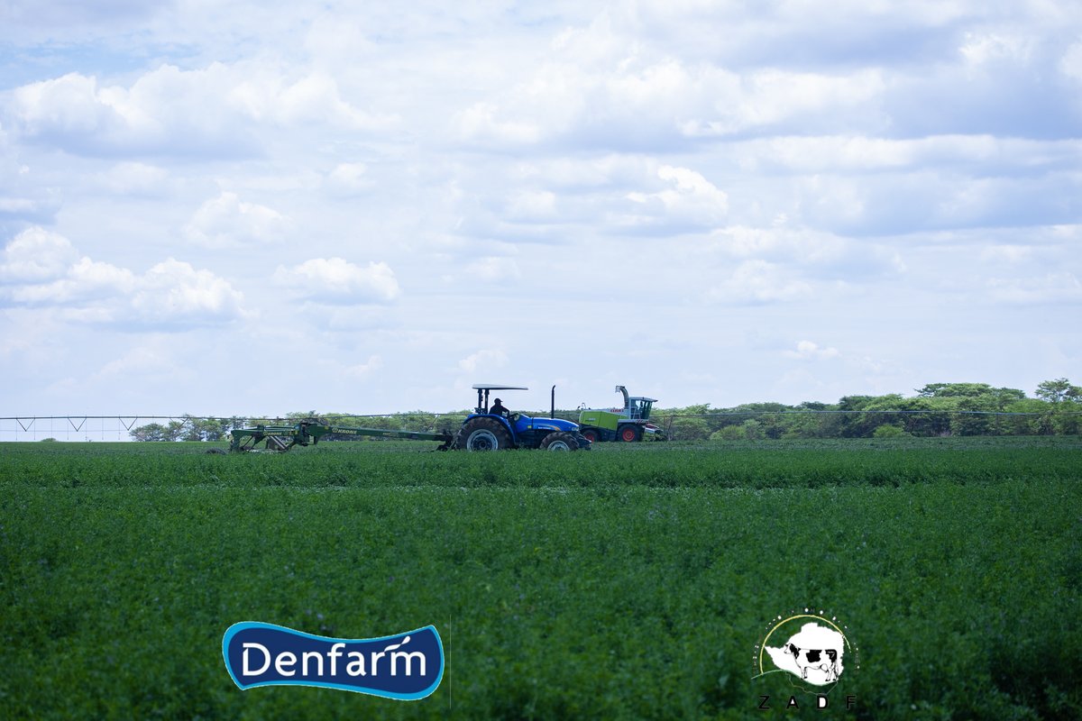 ZADF_Official (@zadf_official) on Twitter photo Hon <a href="/VPHaritatos/">Hon. Vangelis Peter Haritatos</a> was Guest of Honour at the Denfarm pasture and mechanization field day held last Friday as we continued to promote efficient, innovative and sustainable cost-effective dairy feeding systems for increased production and productivity. Hon <a href="/VPHaritatos/">Hon. Vangelis Peter Haritatos</a> was Guest of Honour at the Denfarm pasture and mechanization field day held last Friday as we continued to promote efficient, innovative and sustainable cost-effective dairy feeding systems for increased production and productivity.