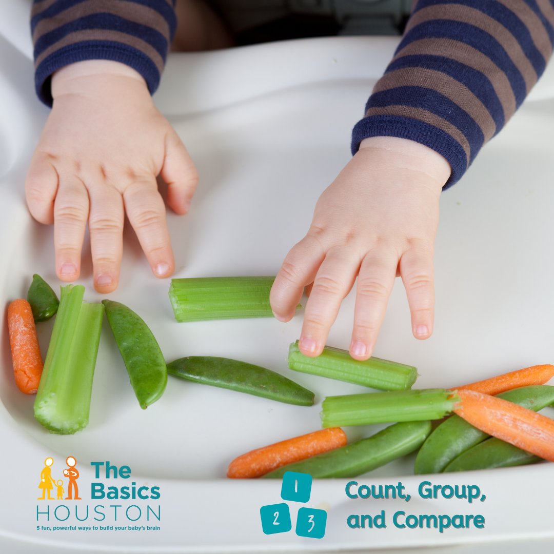 The Basics Houston tweet media