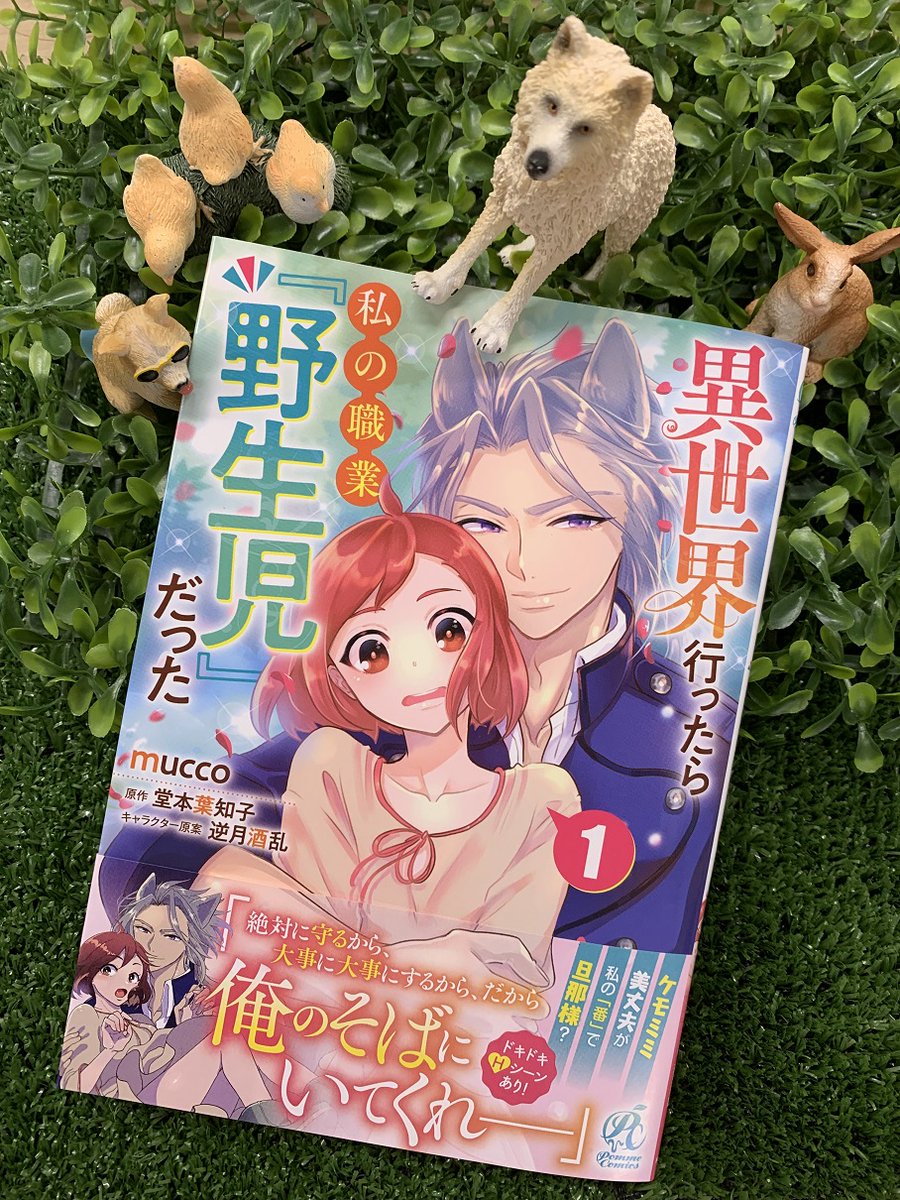 11月新刊 - Cerca / X