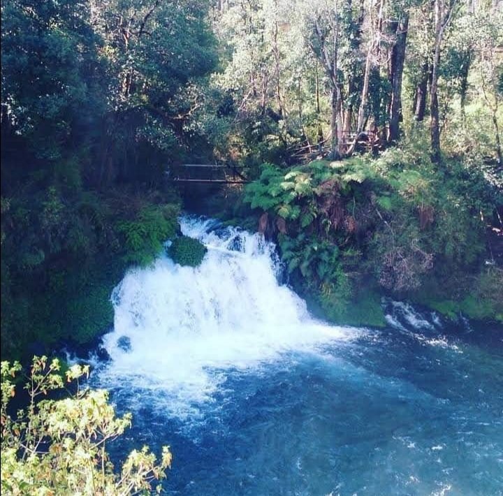 DnCafeCortado2's tweet photo. Muy buenos días ☕ 
Como extraño estos paisajes 😍
#SurDeChile
#Pucon #Caburga https://t.co/IMBZ65Wf37