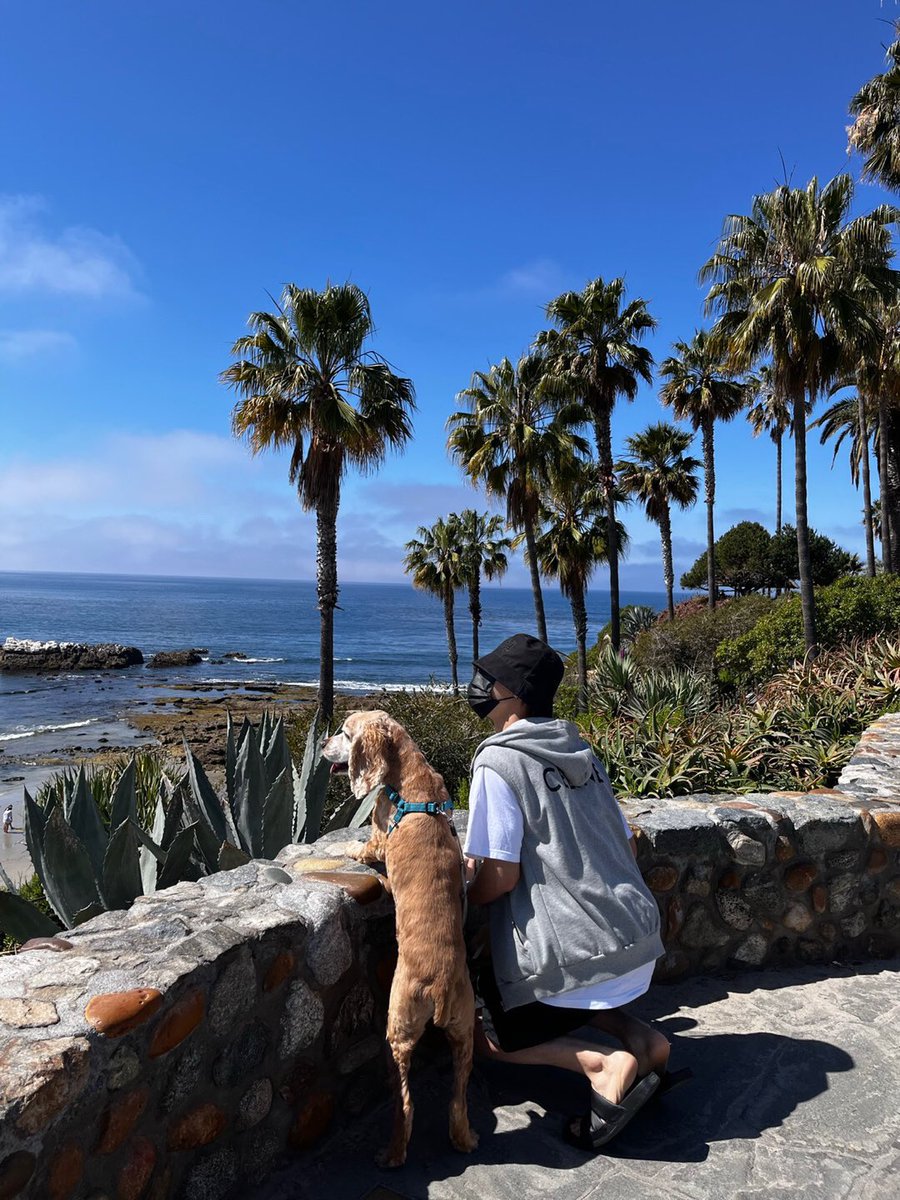 영재의 셀린느조끼가 그리웠음....