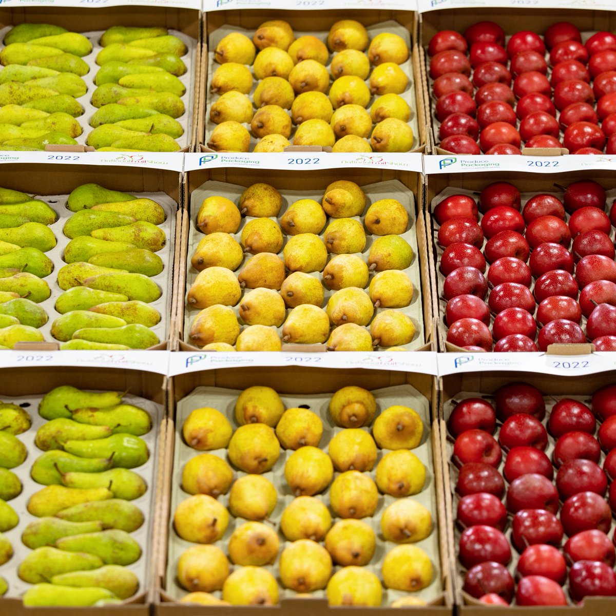 The 2022 show was a fantastic event - watch our highlights and look forward to seeing you next year for the 90th show youtu.be/lifRg39AGCQ <a href="/WorldwideFruit1/">Worldwide Fruit Ltd</a> <a href="/Hutchinsons_TF/">HLH Top Fruit News</a> <a href="/BASFAgro/">BASF Agricultural Solutions</a> <a href="/UKCALtd/">UKCA</a> <a href="/Isolcell/">Isolcell</a> <a href="/npseymour/">npseymour</a> <a href="/beanstlkglobal/">BeanstalkGlobal</a> <a href="/GrowingKent_Med/">Growing Kent & Medway</a> <a href="/MHUpdates/">Maharashtra updates HD</a> <a href="/niabgroup/">Niab</a>