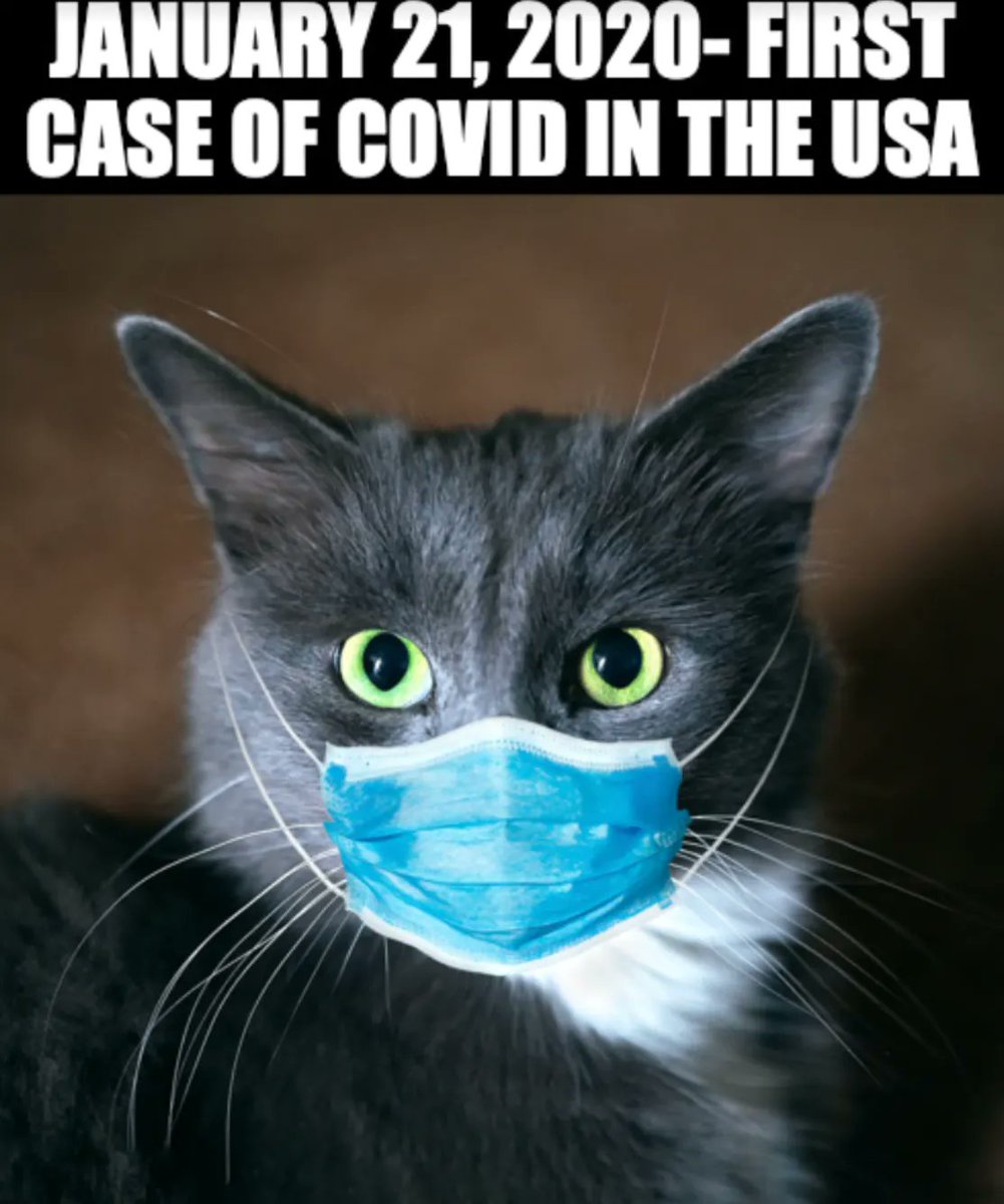 MemeCast3's tweet photo. Remember this? Jan. 21, 2020, first case of #COVID19 in #US https://t.co/yDlkDUYTsp See more and mint your own latest #news #memes on https://t.co/HzfUmxAvDh! #tez #tezos #tezoscommunity #tezosnfts #tezoscollectors #xtz $xtz #NFTs #NFTCommunity #NFTartists #web3 #web3community https://t.co/lFg6ARZYsu