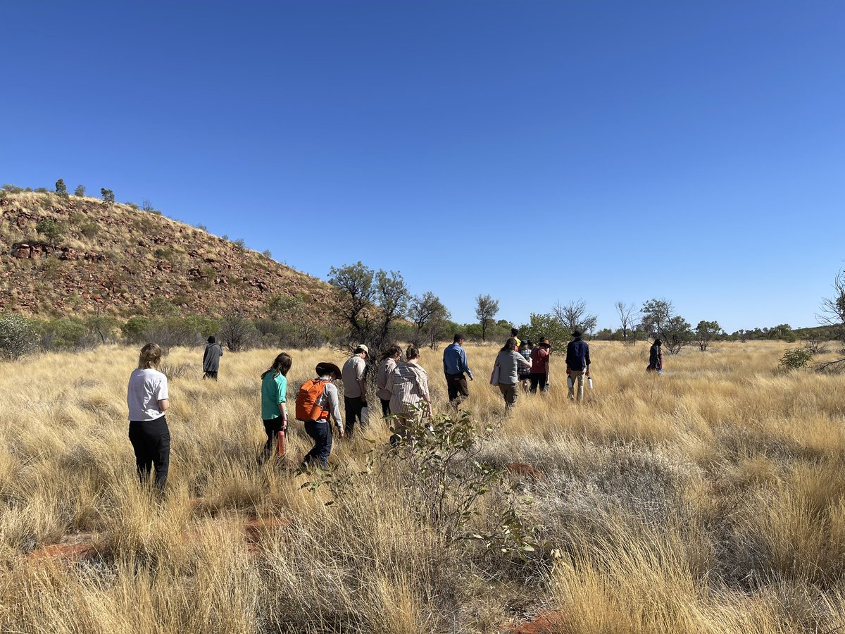 John White Wildlife tweet media