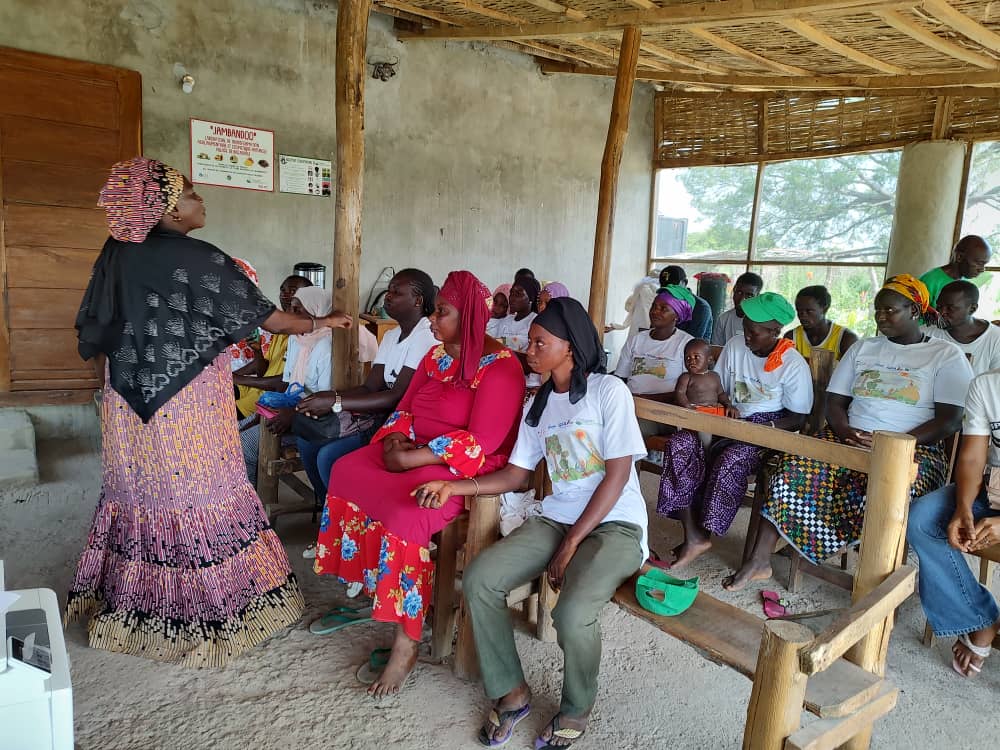 CasaBio2's tweet photo. 🧑🌾Mise en place - en collaboration avec #ALSE - de l’instrument de solidarité financière « MiranBio » ou « Calebasse de solidarité biologique » pour soutenir l’entreprenariat agroécologique.
#RéussirauSénégal #CasaBio #GFA #GIZ https://t.co/SZ0KjwM8Ki