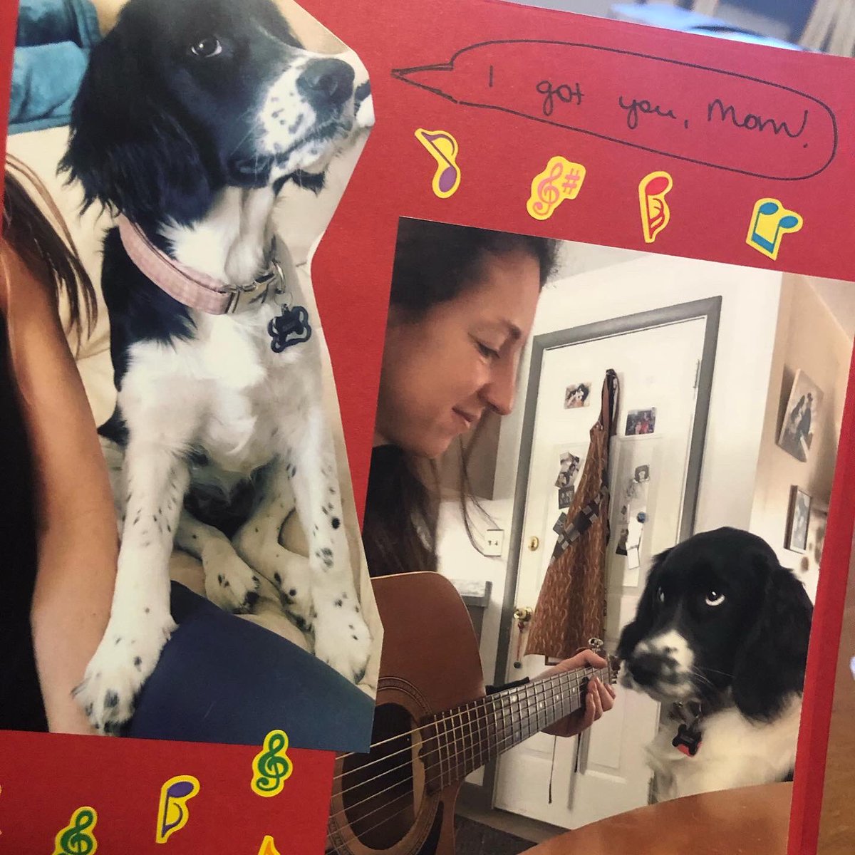 JessRock87's tweet photo. Puppy scrapbook 🐶 

#puppies #dogs #englishspringerspaniel #love #siblingdogs #scrapbook https://t.co/SbBiu4gQux