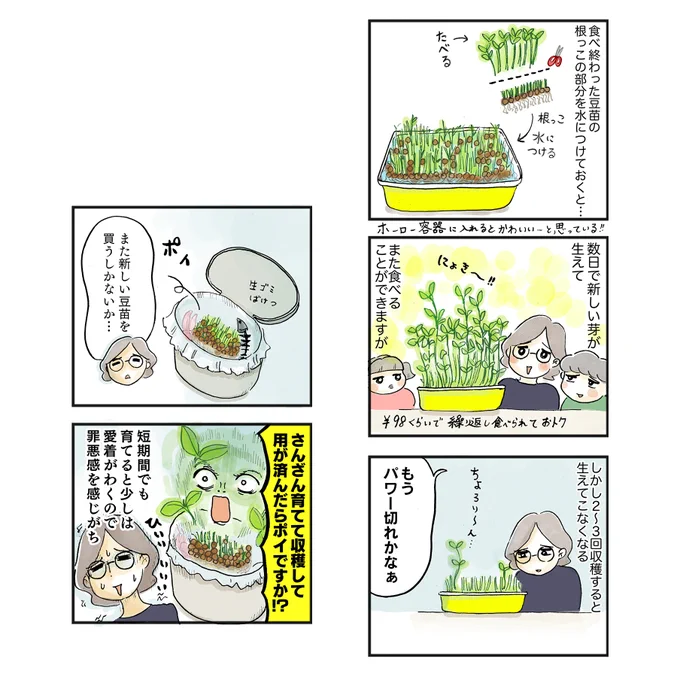 豆苗でもできます!(以前、豆苗の漫画も描きました) https://t.co/aTZ26r9x8H 