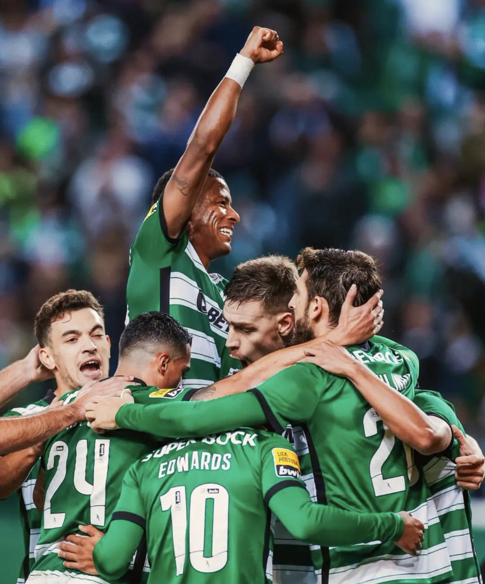 Nunomel 🦁🇺🇸 tweet media