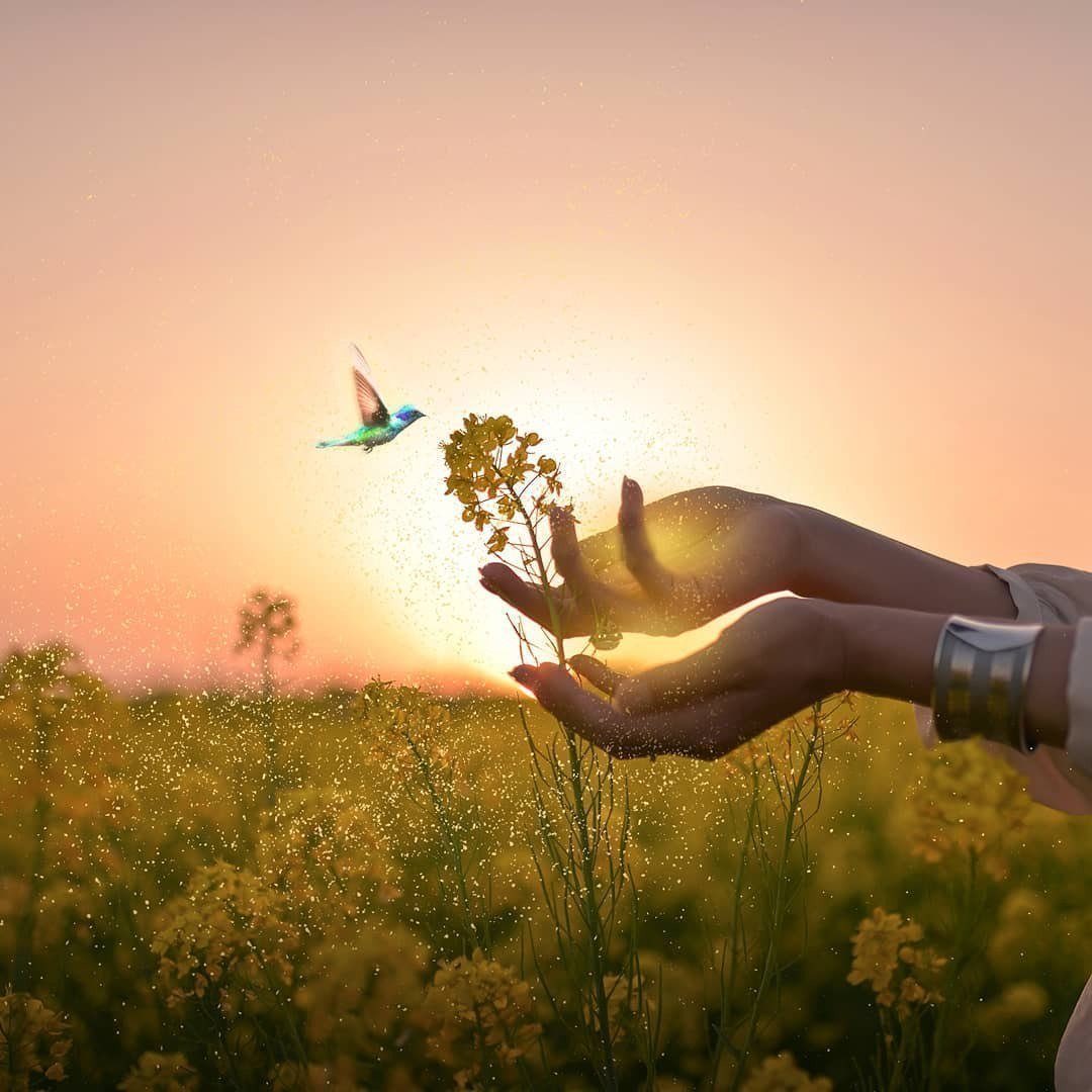 당신이
꽃이라면

벌 나비가 날아들고

당신이
나무라면

새들이 날아들것 이다

주위에 모여드는 사람을 보면
내가 무엇인지를 알수있다..🖊

-지나간다 다지나간다-