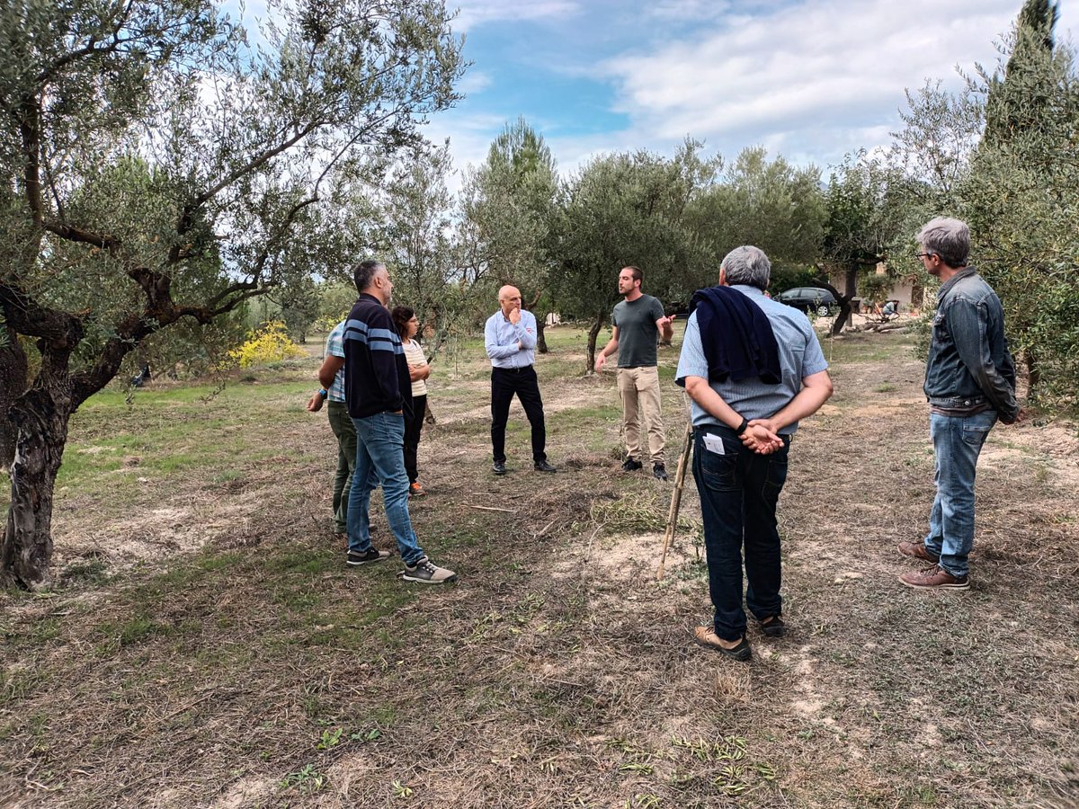 agricola_v's tweet photo. Hace unas semanas tuvimos una visita a nuestras instalaciones del grupo ATRIAS de la provincia de Alicante.
Estas Agrupaciones para Tratamientos Integrados en Agricultura «ATRIAS» son una herramienta para mejorar la eficacia de las técnicas de lucha contra plagas en una provincia https://t.co/lgVngiWMpt