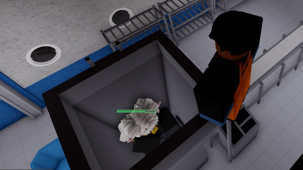 Codswallop Family Fishing tweet media