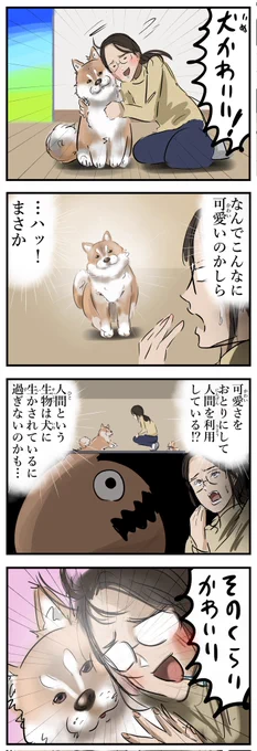 今日のわんこ。 
