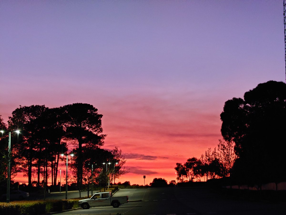 bronzitte's tweet image. 好红好紫