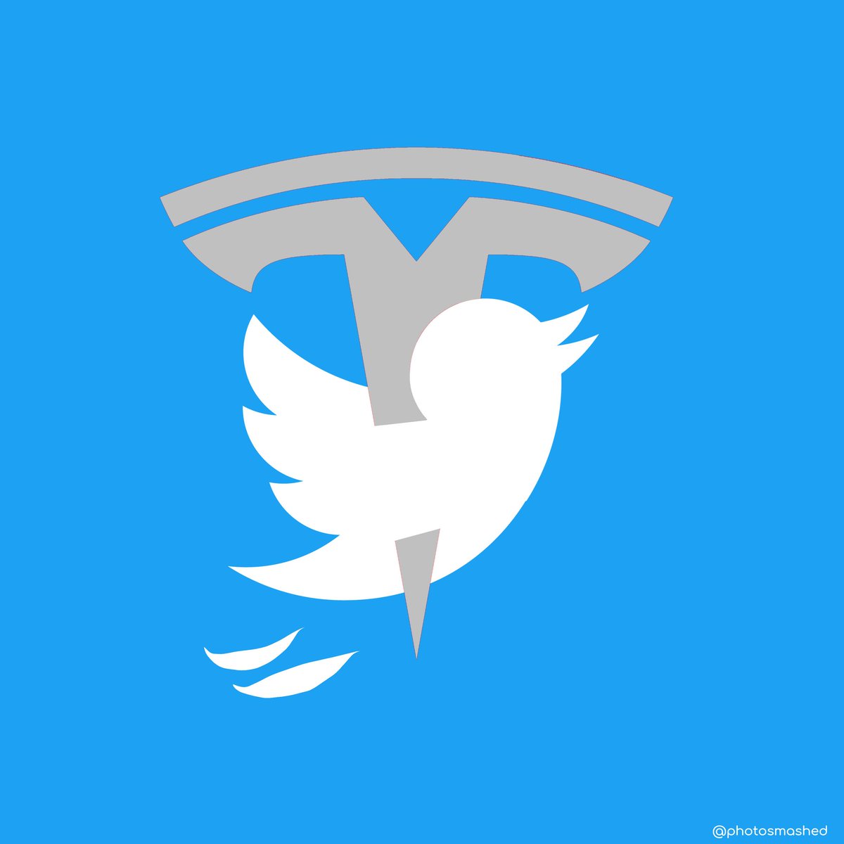 New Twitter logo by @StarWarsPhtshp