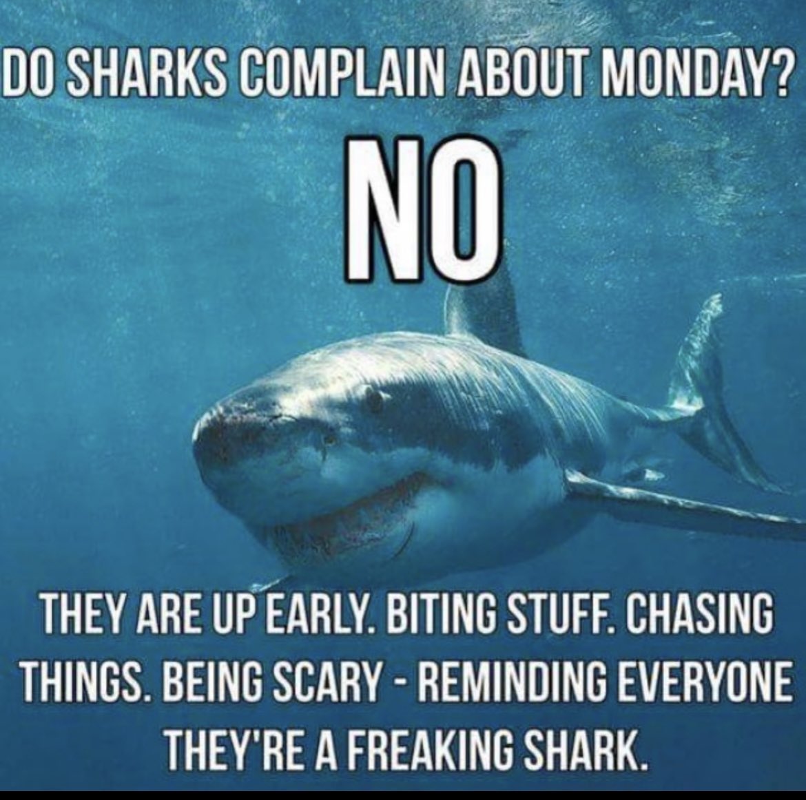 Energy Monday!!!
Get it today…1-0 in all we do!!!