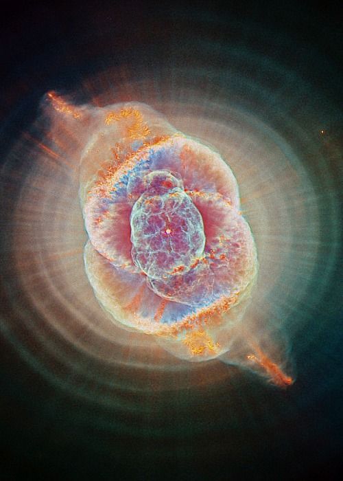 NGC6543 Cats eye Nebula in Draco constellation. at.tumblr.com/astronomy-is-a…