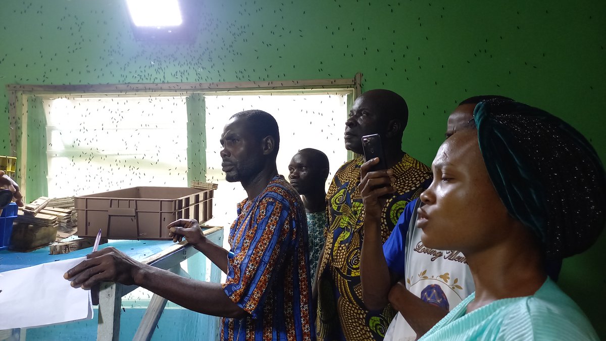 Entojutu1's tweet photo. Welcome to a new week. 

We are entering week 2 of our 'Farm works with flies Project' in Nigeria. Our farmers are excited about their new farmily. Last week we got introduced to the black soldier flies and the idea of working with the nature-based approach. https://t.co/y65U99dAv4