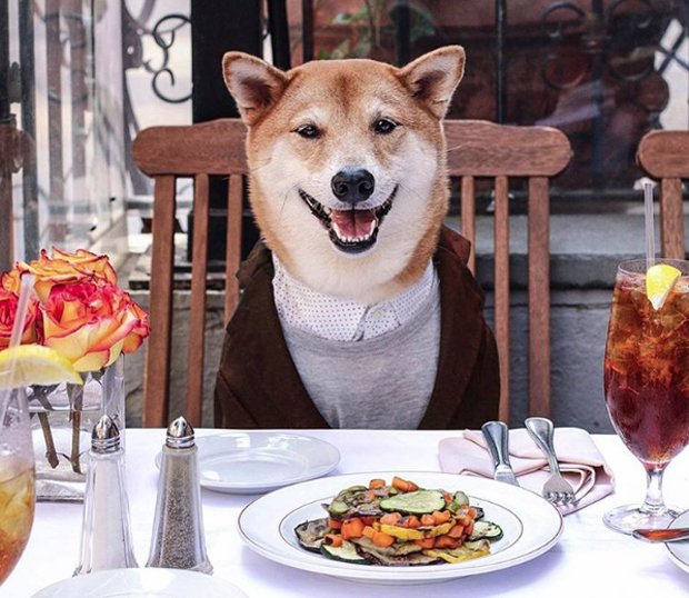 EarTooEar's tweet photo. Good Morning #DogeFamily. Make Today a Good Day By Trending #DogeCoin 😁
#Dogecoins , #DogeArmy , #DogeNetwork , #DogeMentum , #Doge
Did I miss any #'s? 😀 $DOGE https://t.co/QHFN1yYYds