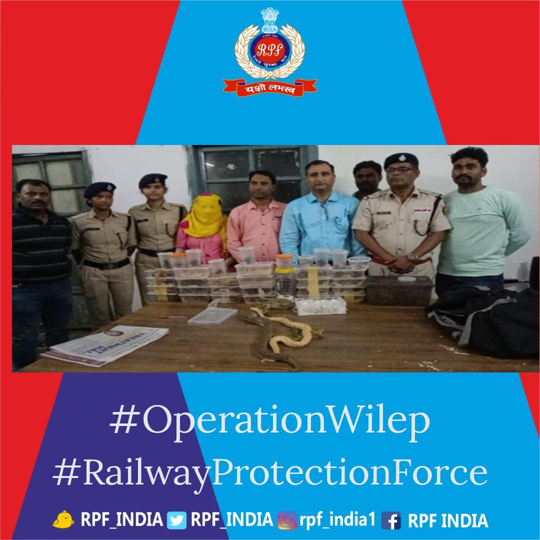 RPF INDIA tweet media
