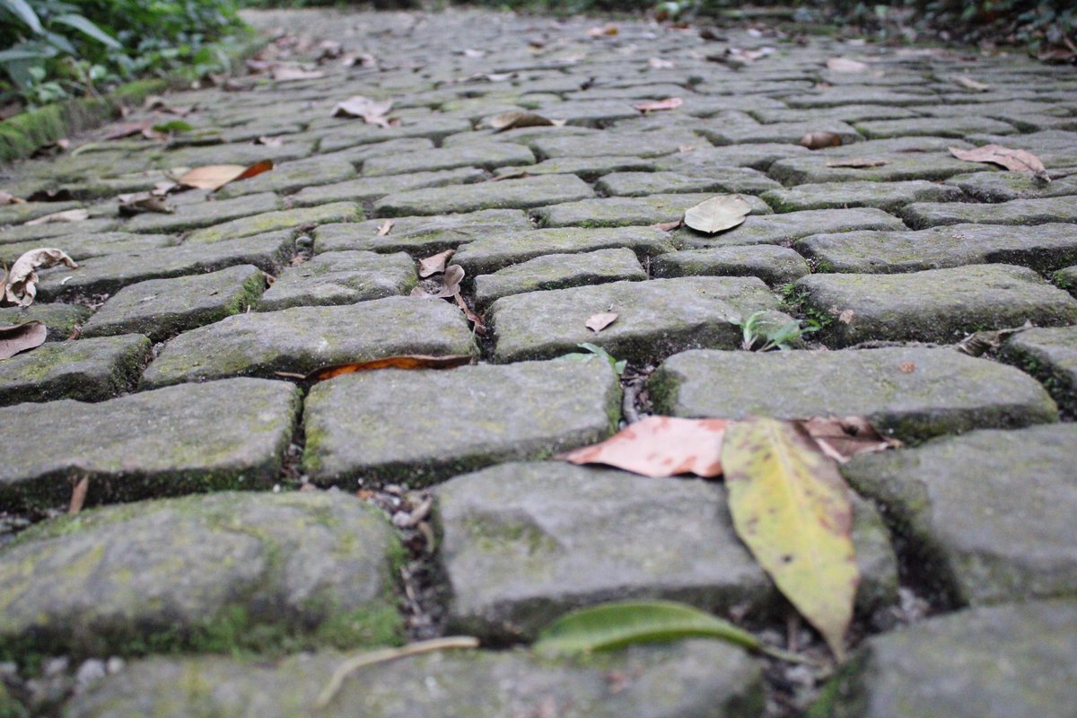 lucisangiacomo's tweet photo. Click do domingo !

#parquelage #clickdodia https://t.co/Sh5cAdnRX0